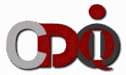 CDOIQ-Japan